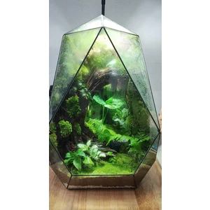 флорариум L
