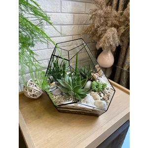 флорариум М