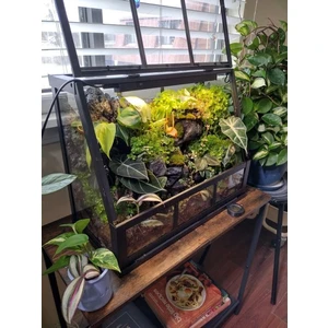 Флорариум XL