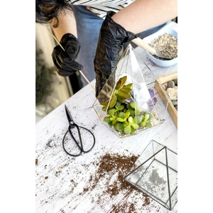 Обслуживание флорариума