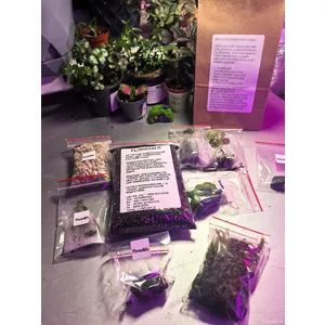 Набор для создания тропического Флорариума