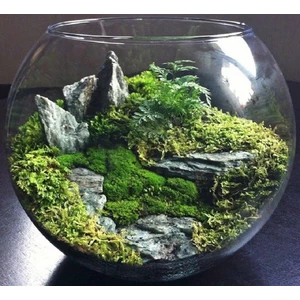 Флорариум S